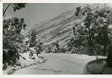 Photograph, Snow Scene Halls Gap