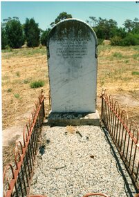 Photograph, "Ashen" Homestead -- 1984 planting trees, 1993 showing some graves and the growth of the trees -- 11 Photos