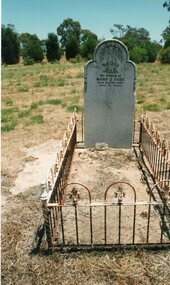 Photograph, "Ashen" Homestead -- 1984 planting trees, 1993 showing some graves and the growth of the trees -- 11 Photos