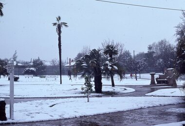 Photograph - Slide, Ian McCann, Stawell Snow July 1981 Central Park, July 1981