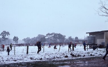 Photograph - Slide, Ian McCann, Stawell Snow July 1981 Children Playing, July 1981