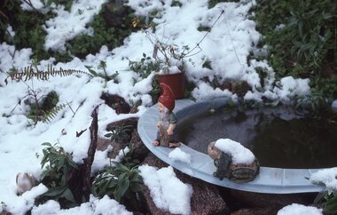 Photograph - Slide, Ian McCann, Stawell Snow July 1981Birdbath, JUly 1981