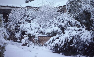 Photograph - Slide, Ian McCann, Stawell Snow July 1981, July 1981