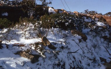 Photograph - Slide, Ian McCann, Stawell Snow July 1981 Big Hill, July 1981