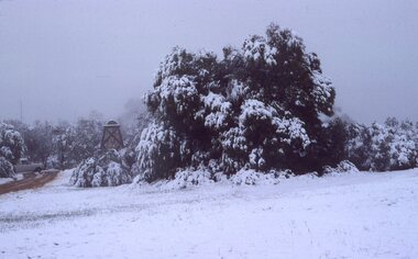 Photograph - Slide, Ian McCann, Stawell Snow July 1981 Big Hill Gold Monument, JUly 1981