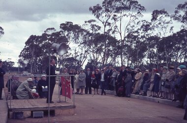 photograph - Slides, Ian McCann, Crowd, 1976 - 1984