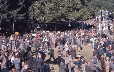 Photograph - Slide, Stawell Gift