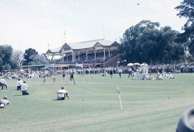 Photograph - Slide, Stawell Gift