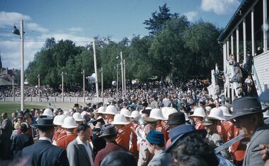 Photograph, Ian McCann, Parades