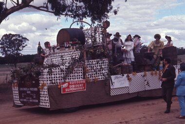 Slide, Ian McCann, Concongella School Parade - Vinyard