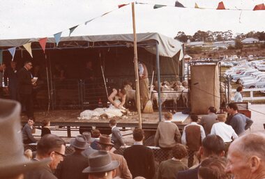 Slide, Ian McCann, Stawell Show