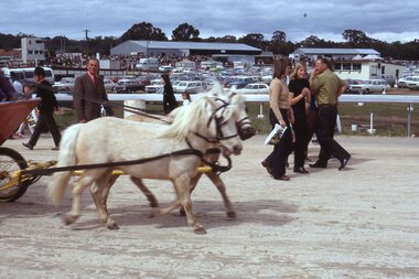 Slide, Ian McCann, Stawell Show