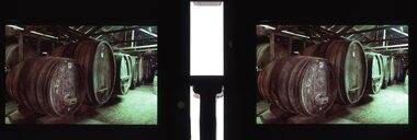 Slide, Ian McCann, 2 Slides at winery 1984, 1984