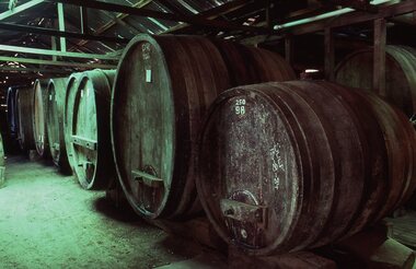 Slide, Ian McCann, Wine Barrels, 1984