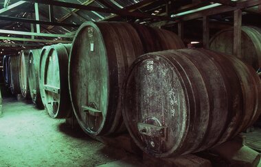 Slide, Ian McCann, Wine Barrels, 1984