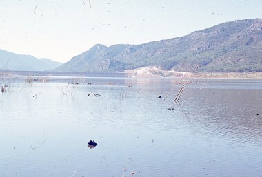Slide, Ian McCann, Lake Bellfield, 1960's