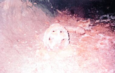 Photograph, Trolly Wheel found underground when mine reopened