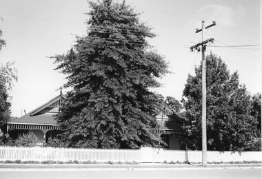Photograph, Terang