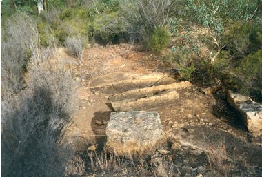 Photograph, Don Rickard, Black Range Quarry Site, 1999