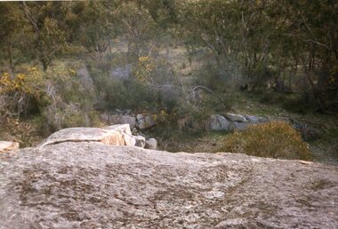 Photograph, Don Rickard, Black Range Quarry Site, 1999