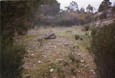 Photograph, Don Rickard, Black Range Quarry Site, 1999