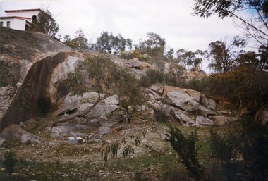 Photograph, Don Rickard, Black Range Quarry Site, 1999