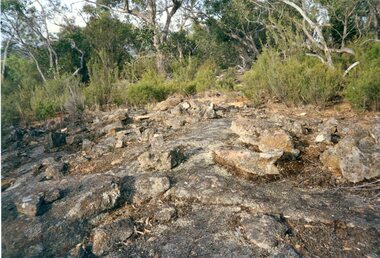 Photograph, Don Rickard, Black Range Quarry Site, May 1999