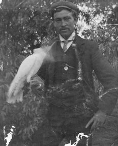 Photograph, Man holding pet Cockatoo