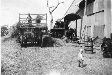 Photograph, Chaff Making 1940's Carrs Plains, c.1940's