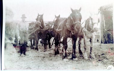 Photograph, Man and Horses, 1930's