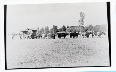 Photograph, Farm Work