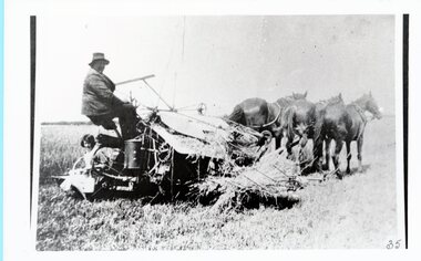 Photograph, On the Binder, c 1930's