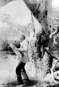 Photograph, Aboriginal man at Carrs Plains with Shield and Boomerang.  Also referred to as Demonstration of war weapons by Jardwadjali man, Jacky Cocooquine, in the Wimmera 1868