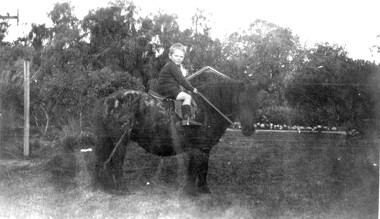 Photograph, Small Wettenhall Family album from Carr's Plains