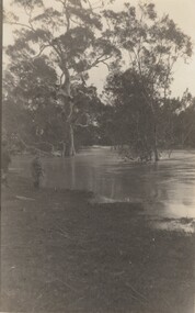 Photograph, Whitehall Property Greens Creek