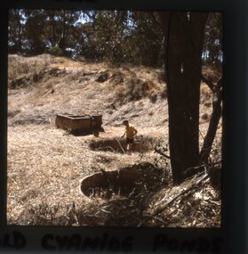 Slide, Set of Large Format colour positive slides of Stawell c1970 - Old Cyanide ponds