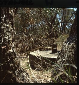 Slide, Set of Large Format colour positive slides of Stawell c1970 - Chilean Mill Wheel