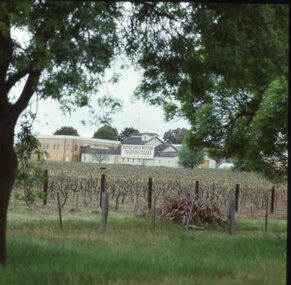 Slide, Set of Large Format colour positive slides of Great Western c1970 - Seppelts Great Western