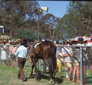 Slide, Set of Large Format colour positive slides of Great Western c1970 - Races