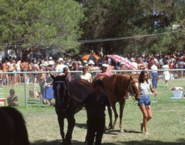 Slide, Set of Large Format colour positive slides of Great Western c1970 - Races