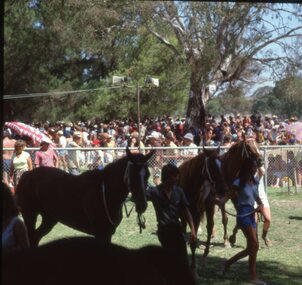 Slide, Set of Large Format colour positive slides of Great Western c1970 - Races