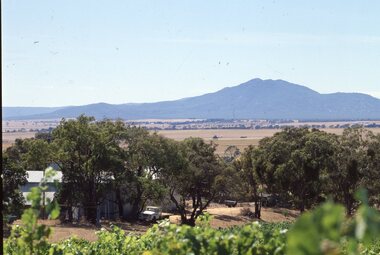 Slide, Set of Large Format colour positive slides of Great Western c1970 - Mt Langi Giran from winery