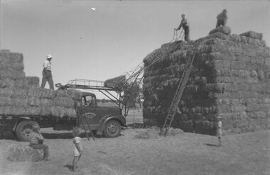Photograph, Hay Bale Stacking at North Plains, part of old Carrs Plains Property