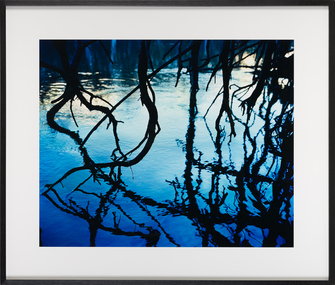 Photograph, AUTIO, Narelle, Cod Pool, 2006