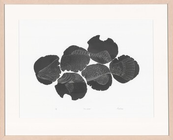 Print, PLANT, Rhyll, Cod-Piece, 2001