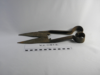 sheep shears