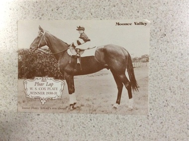 Postcard featuring "Phar Lap", "Pha rLap" WS Cox Plate winner 1930-31