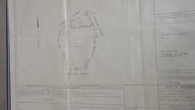 Survey plan of subdivision of Hamilton st wetland