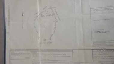 Survey plan of subdivision of Hamilton st wetland