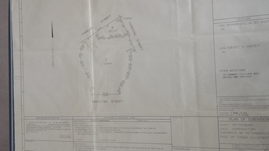 Survey plan of subdivision of Hamilton st wetland